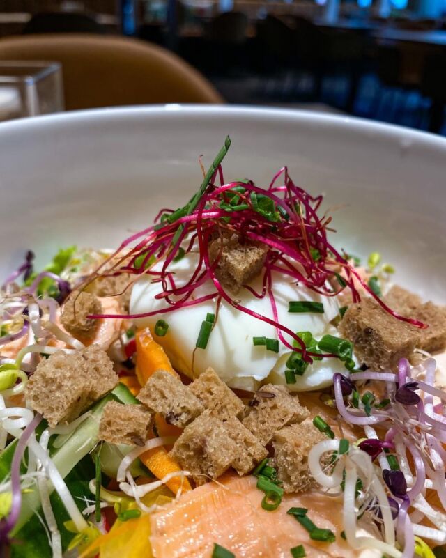 Weihnachtsfeier in St. Pölten, Räucherlachsforelle von der Fischzucht Burger in Pottenbrunn. ~ mit Gurken, Radieschen, Asia-Joghurt, Karotten, Sprossen, Vollkorn-crunch und einem weichem Bio-Ei, Lokal Rosmarin