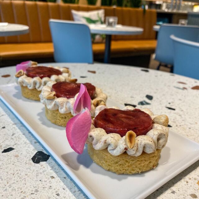 Weihnachtsfeier in St. Pölten, Haselnuss Zwetschke - Zwetschkenröster, Haselnusspraliné, Haselnussmascarpone auf salzigem Bretonischen Sandboden, Lokal Rosmarin